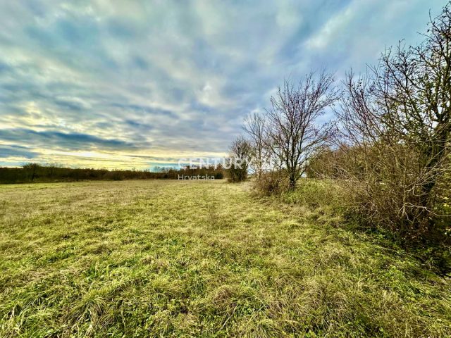 Land For sale - Istarska žminj - foto 3/6