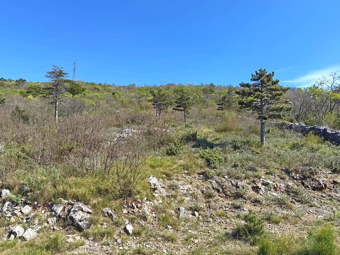 Terrain À vendre - PRIMORSKO-GORANSKA CRIKVENICA