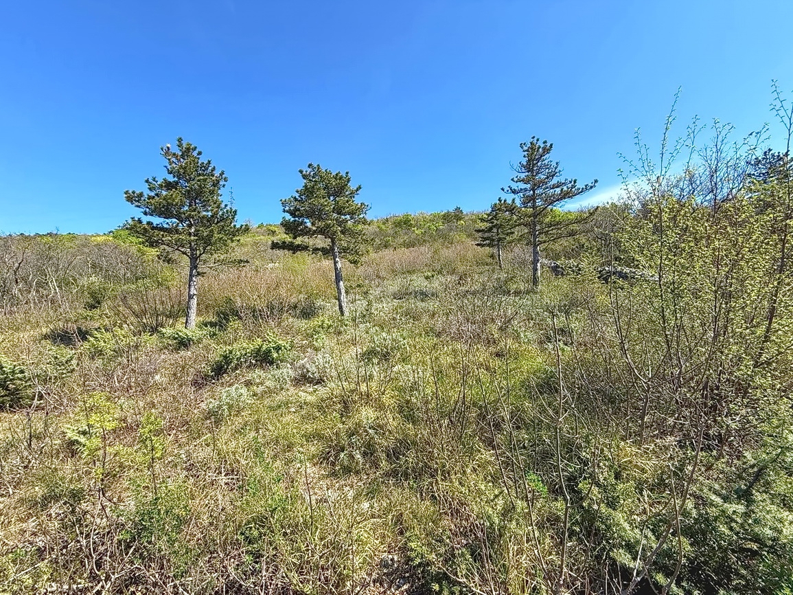 Terrain À vendre - PRIMORSKO-GORANSKA CRIKVENICA