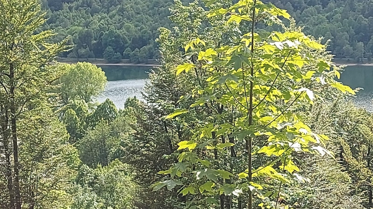 Pozemok Na predaj - PRIMORSKO-GORANSKA FUŽINE