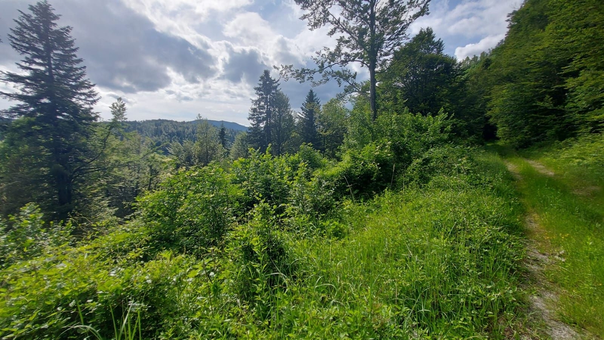 Pozemok Na predaj - PRIMORSKO-GORANSKA FUŽINE