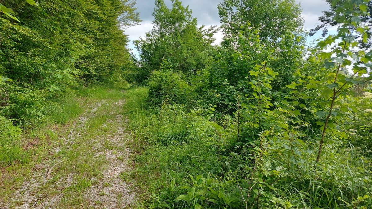Pozemok Na predaj - PRIMORSKO-GORANSKA FUŽINE