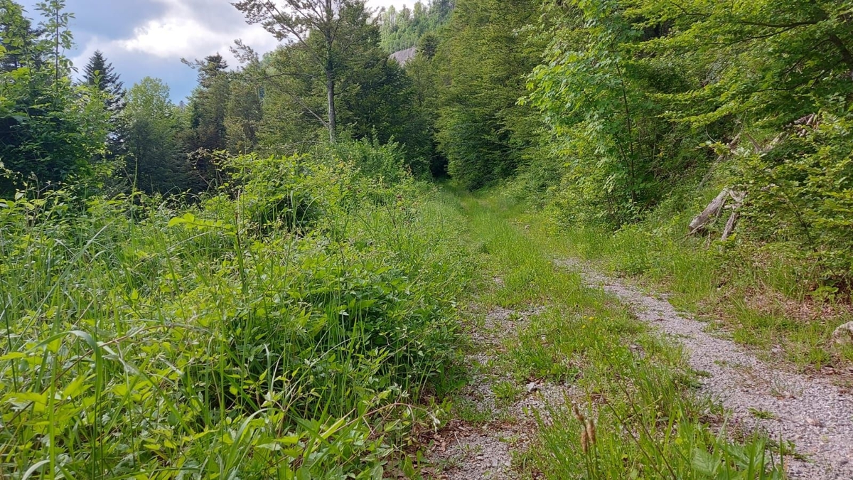 Pozemok Na predaj - PRIMORSKO-GORANSKA FUŽINE