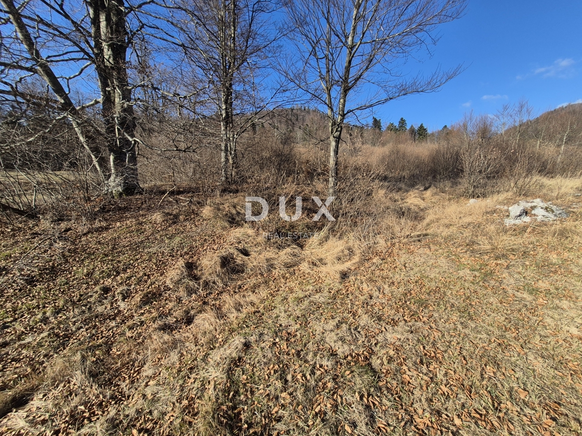 Land For sale - PRIMORSKO-GORANSKA FUŽINE