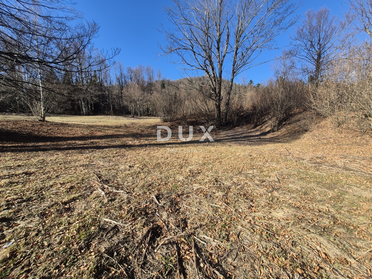 Land For sale - PRIMORSKO-GORANSKA FUŽINE