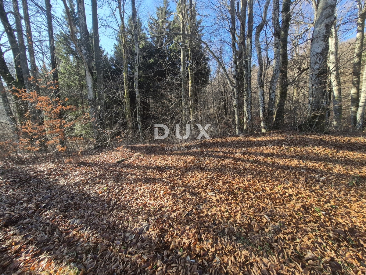 Land For sale - Primorsko-goranska Fužine - foto 4/18