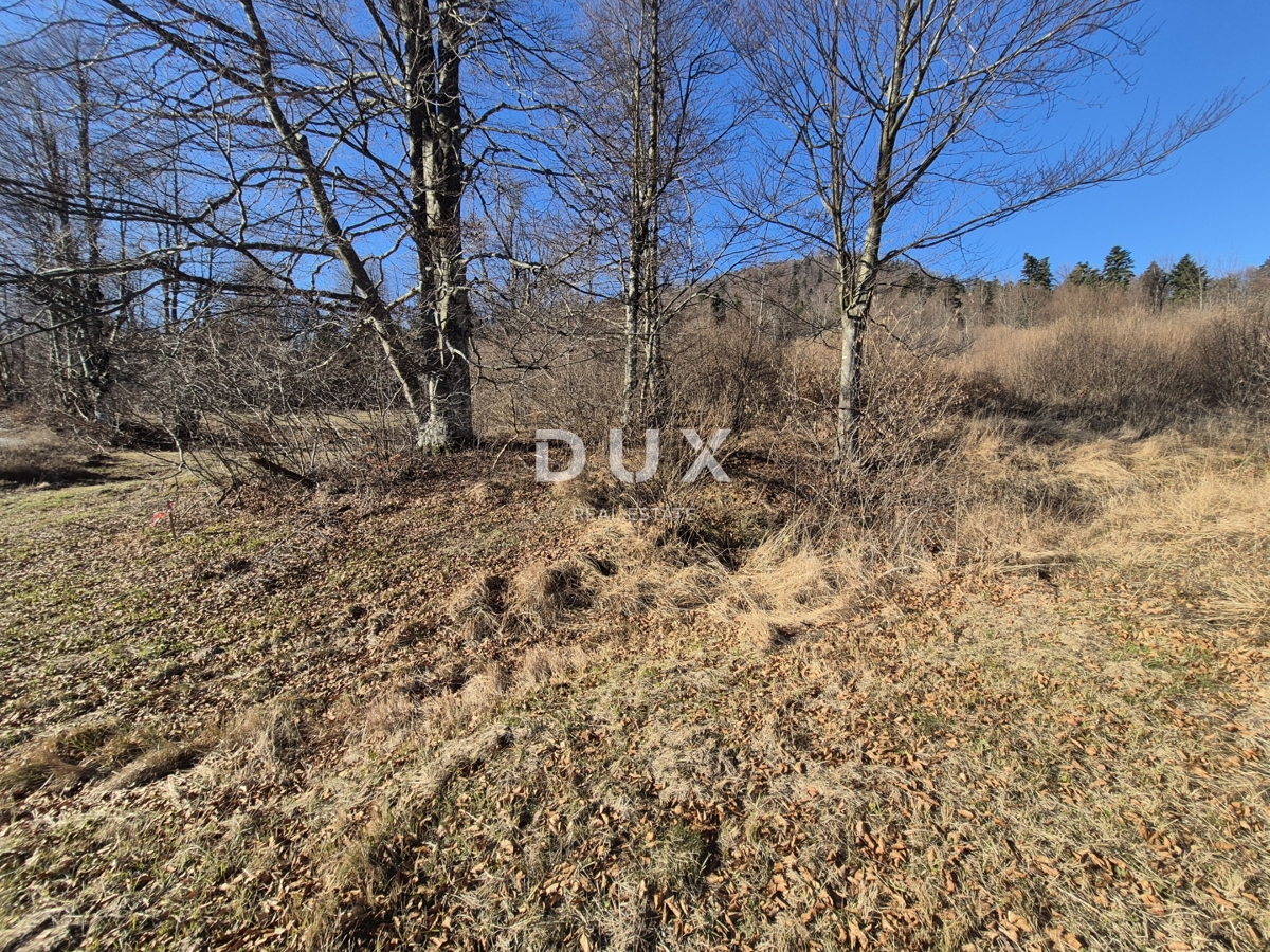 Land For sale - PRIMORSKO-GORANSKA FUŽINE