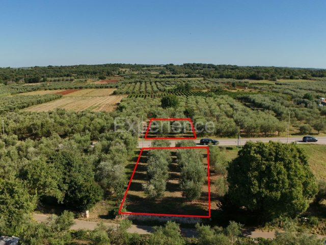 Land For sale - Istarska Tar-vabriga - foto 3/4