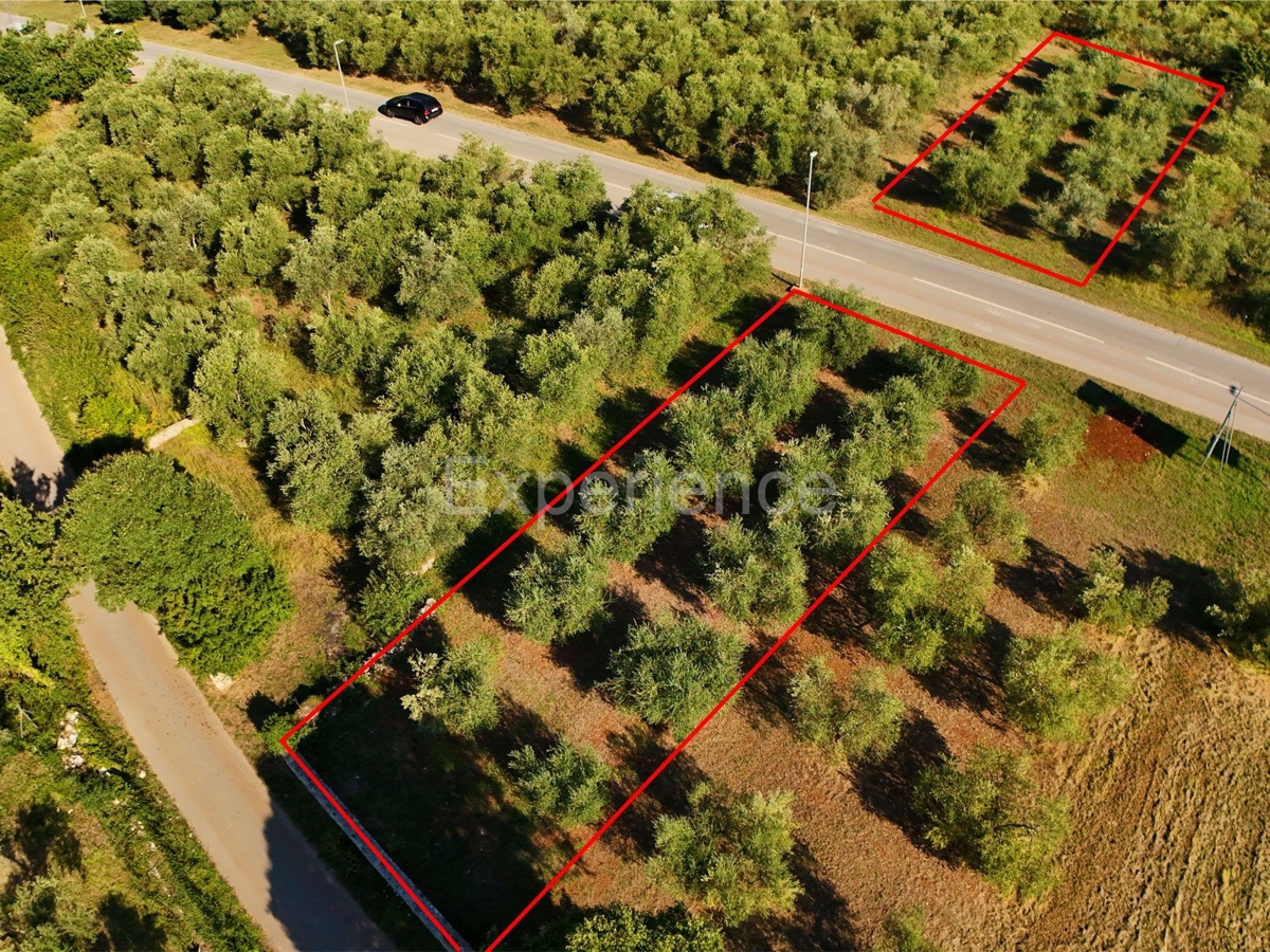 Land For sale - Istarska Tar-vabriga - foto 1/4