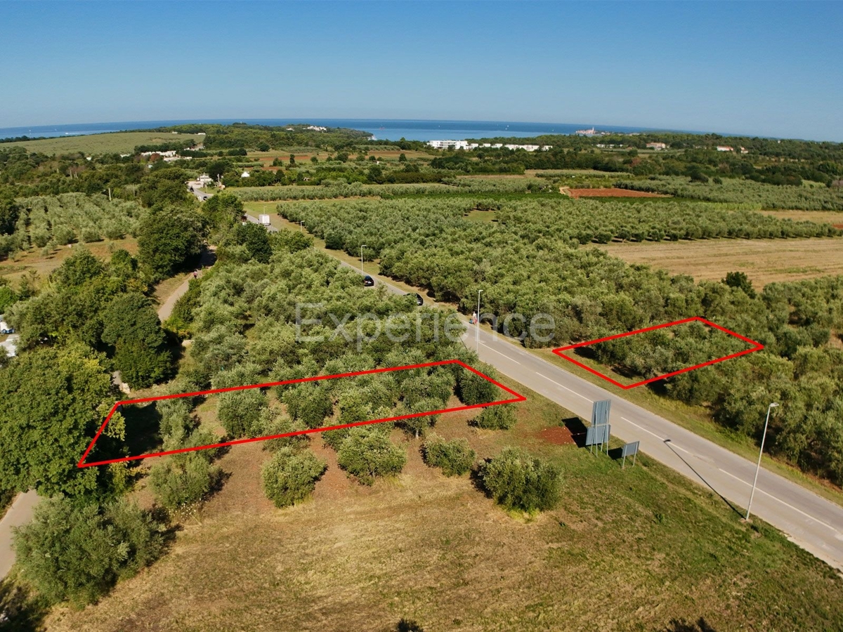 Land For sale - Istarska Tar-vabriga - foto 2/4