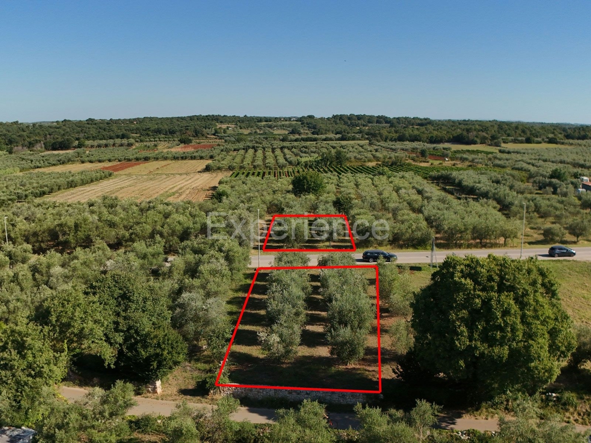 Land For sale - Istarska Tar-vabriga - foto 3/4