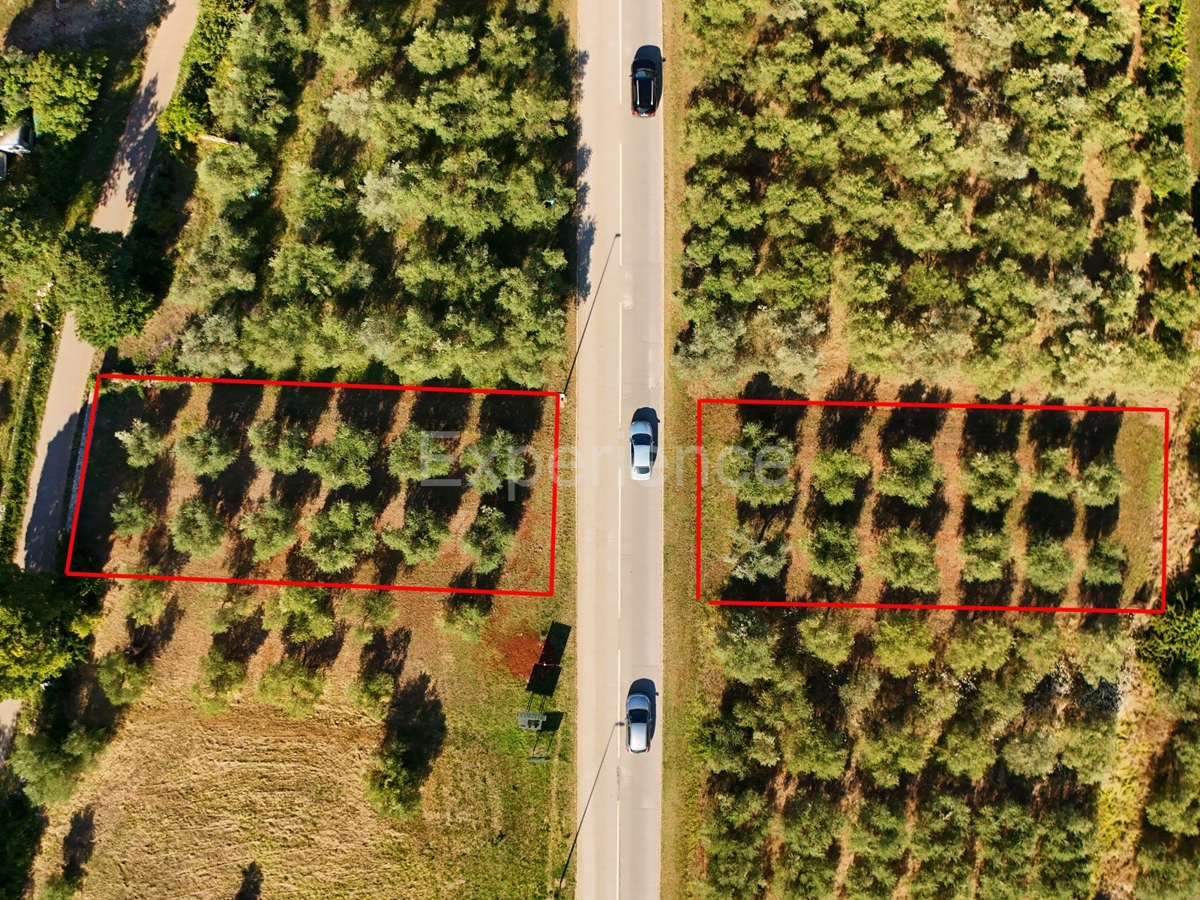 Land For sale - Istarska Tar-vabriga - foto 4/4