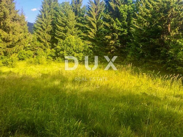 Terreno in vendita 2550 m² – Delnice
