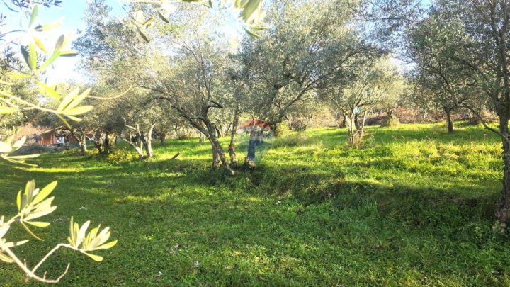 Terreno In vendita - Istarska Umag - foto 4/16