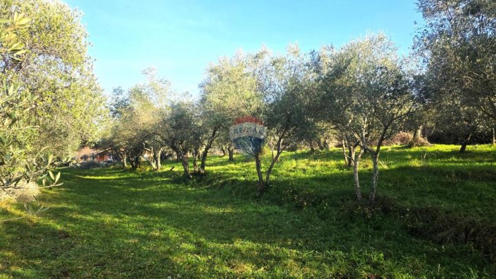 Terreno In vendita - Istarska Umag - foto 5/16
