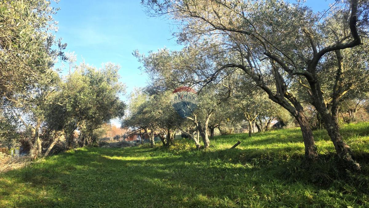 Grundstück Zu verkaufen - Istarska Umag - foto 1/16