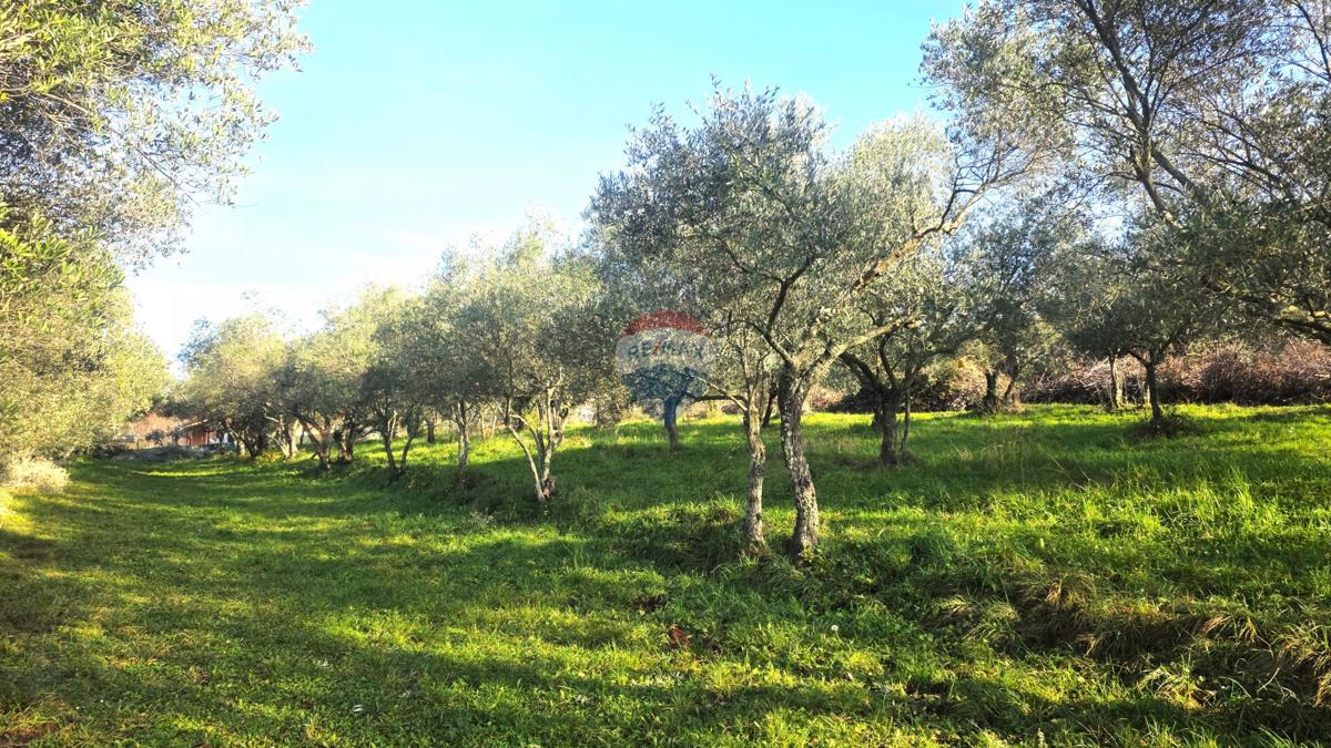 Grundstück Zu verkaufen - ISTARSKA UMAG