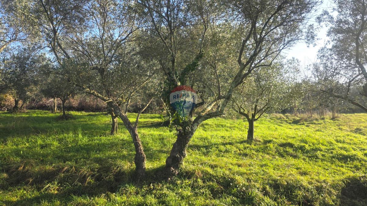Grundstück Zu verkaufen - ISTARSKA UMAG