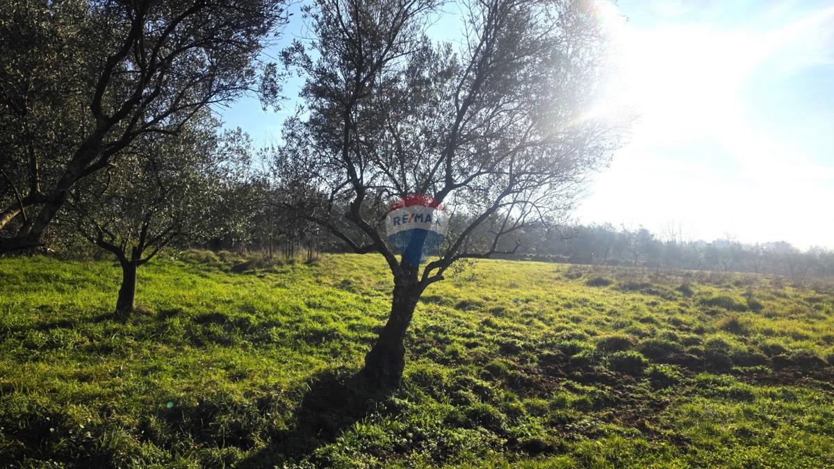 Grundstück Zu verkaufen - ISTARSKA UMAG