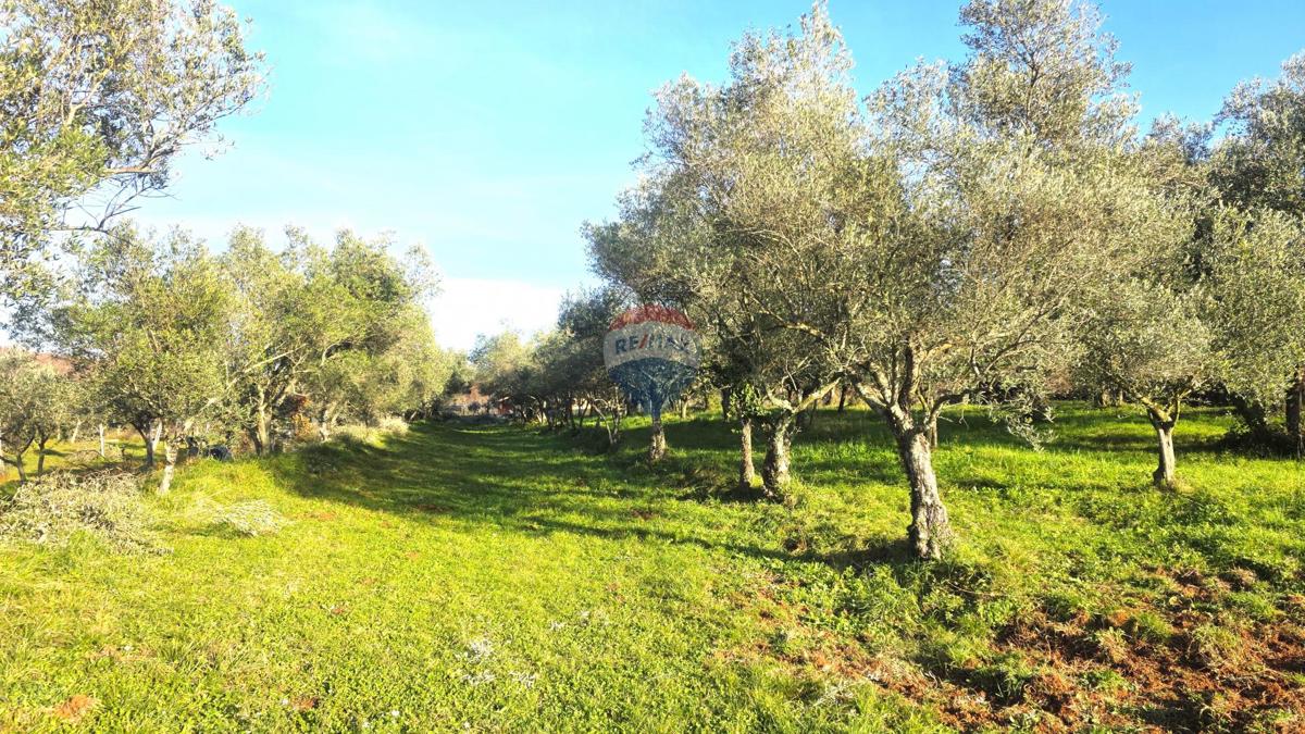 Grundstück Zu verkaufen - ISTARSKA UMAG