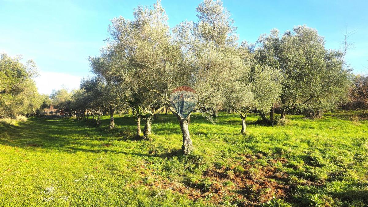 Grundstück Zu verkaufen - ISTARSKA UMAG