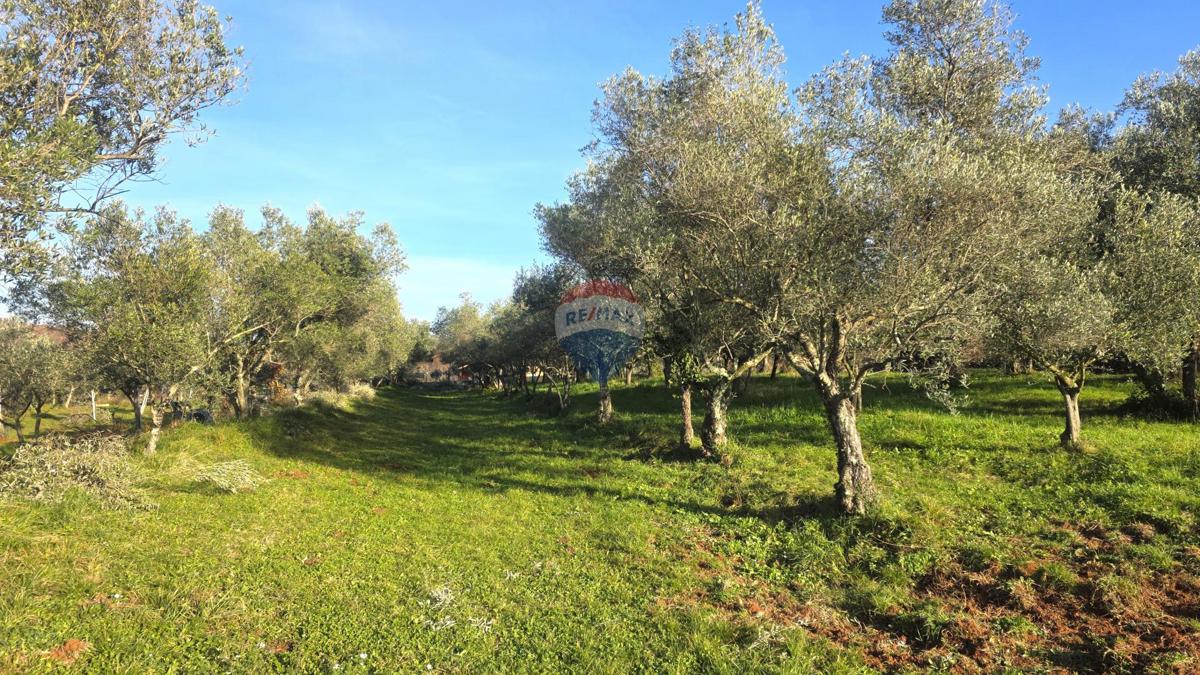 Grundstück Zu verkaufen - ISTARSKA UMAG