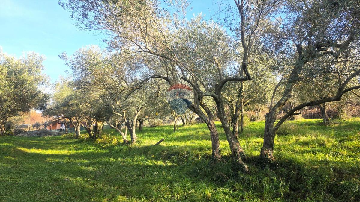 Grundstück Zu verkaufen - Istarska Umag - foto 2/16