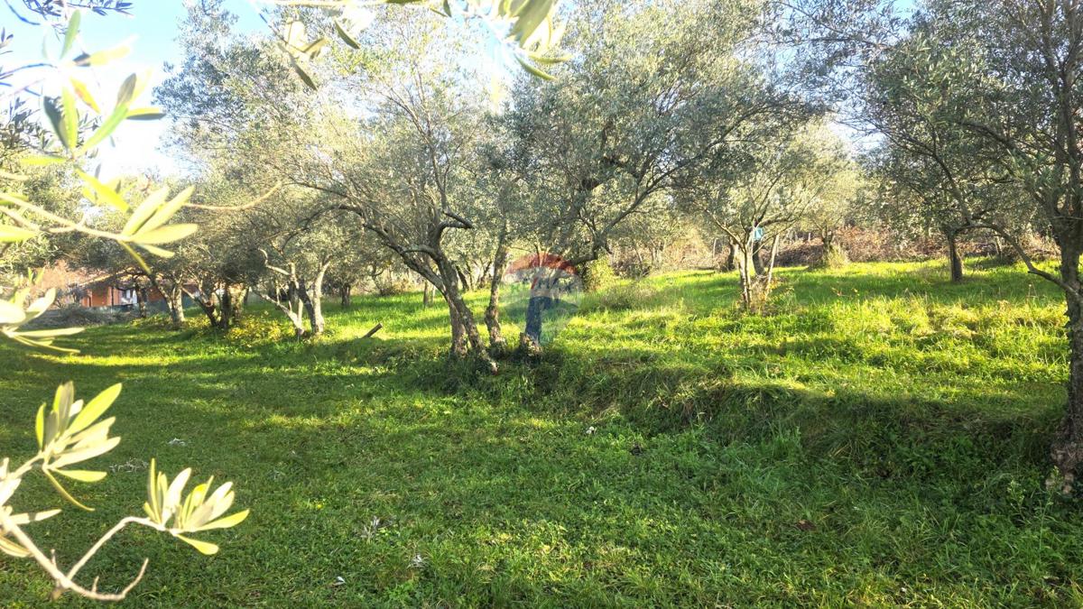 Grundstück Zu verkaufen - Istarska Umag - foto 4/16