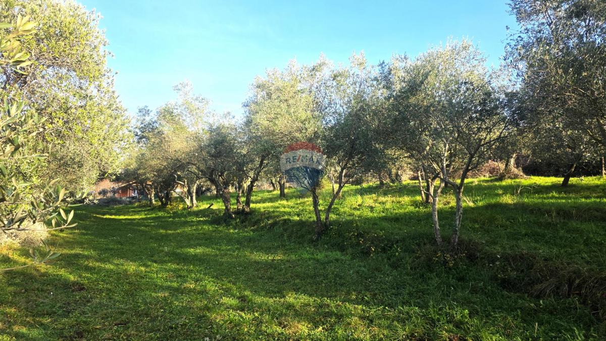 Grundstück Zu verkaufen - Istarska Umag - foto 5/16
