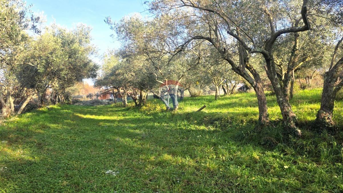 Grundstück Zu verkaufen - ISTARSKA UMAG