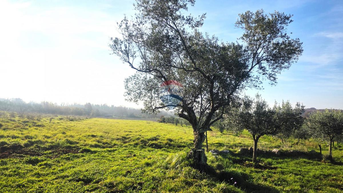 Grundstück Zu verkaufen - ISTARSKA UMAG