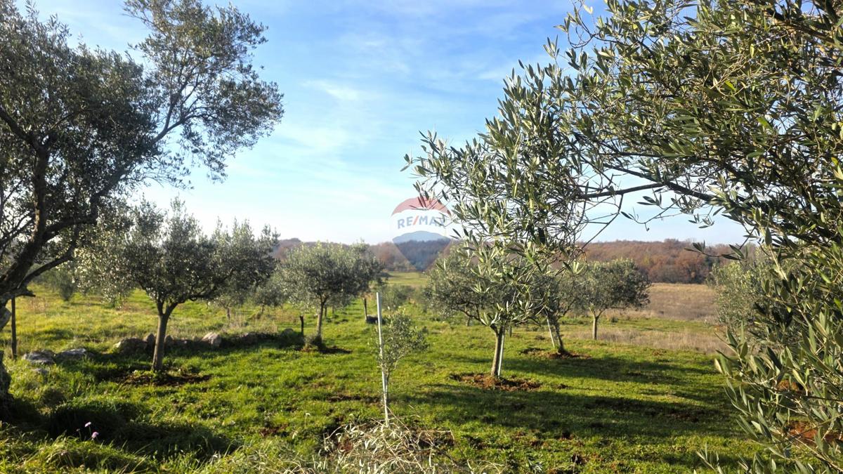 Grundstück Zu verkaufen - ISTARSKA UMAG