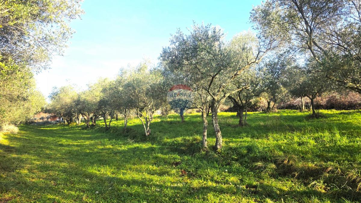 Grundstück Zu verkaufen - ISTARSKA UMAG