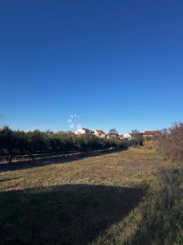 Pozemek Na prodej - Zadarska Zemunik Donji - foto 2/8