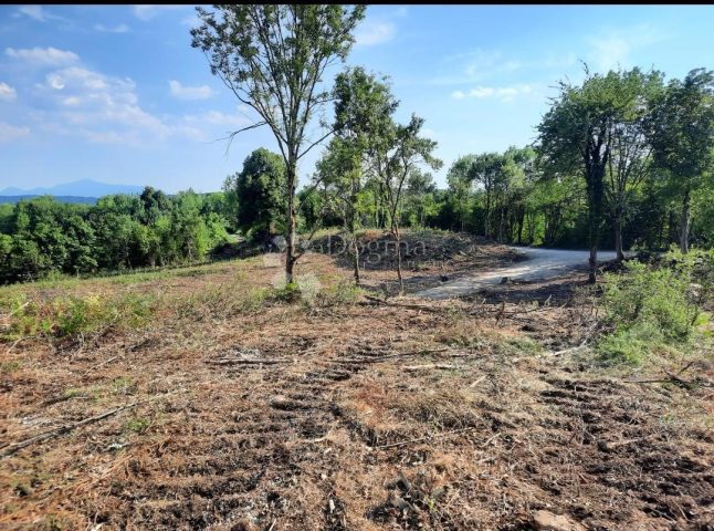 Pozemek na prodej 20077 m² – Rakovica