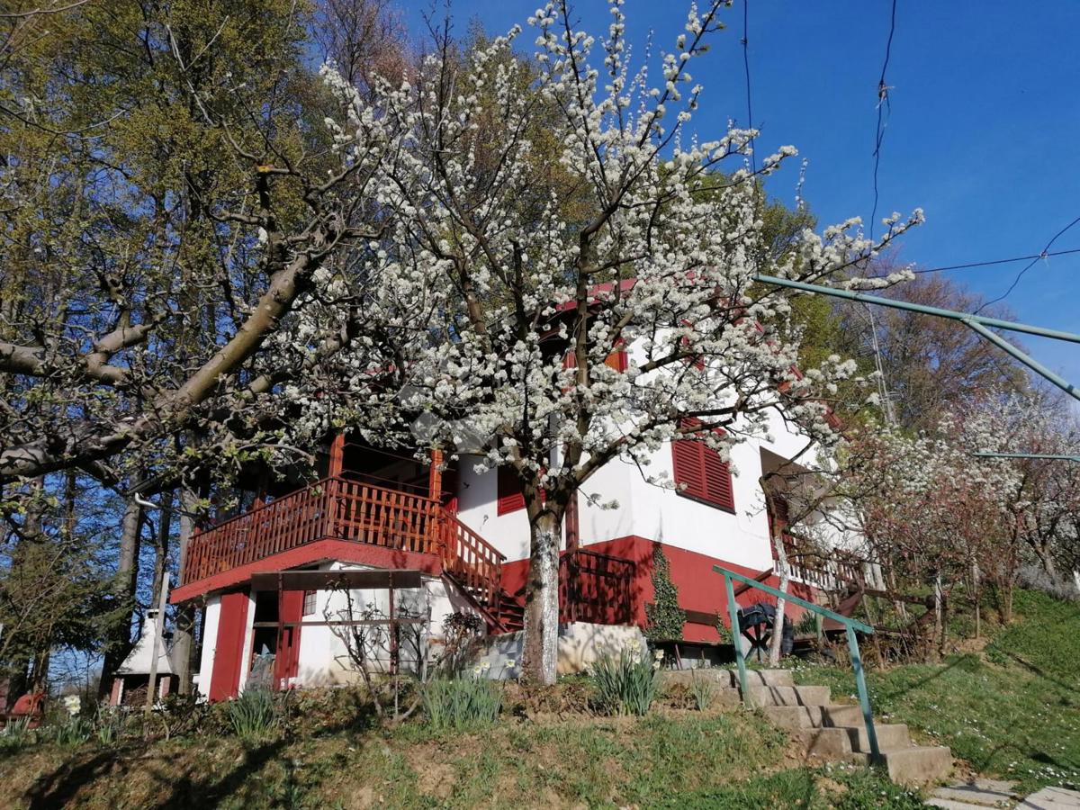 Kuća Na prodaju - VARAŽDINSKA GORNJI KNEGINEC