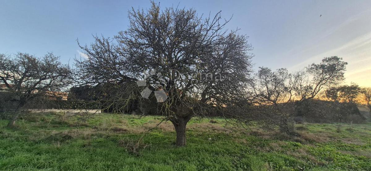 Land For sale - Istarska Pula - foto 1/16