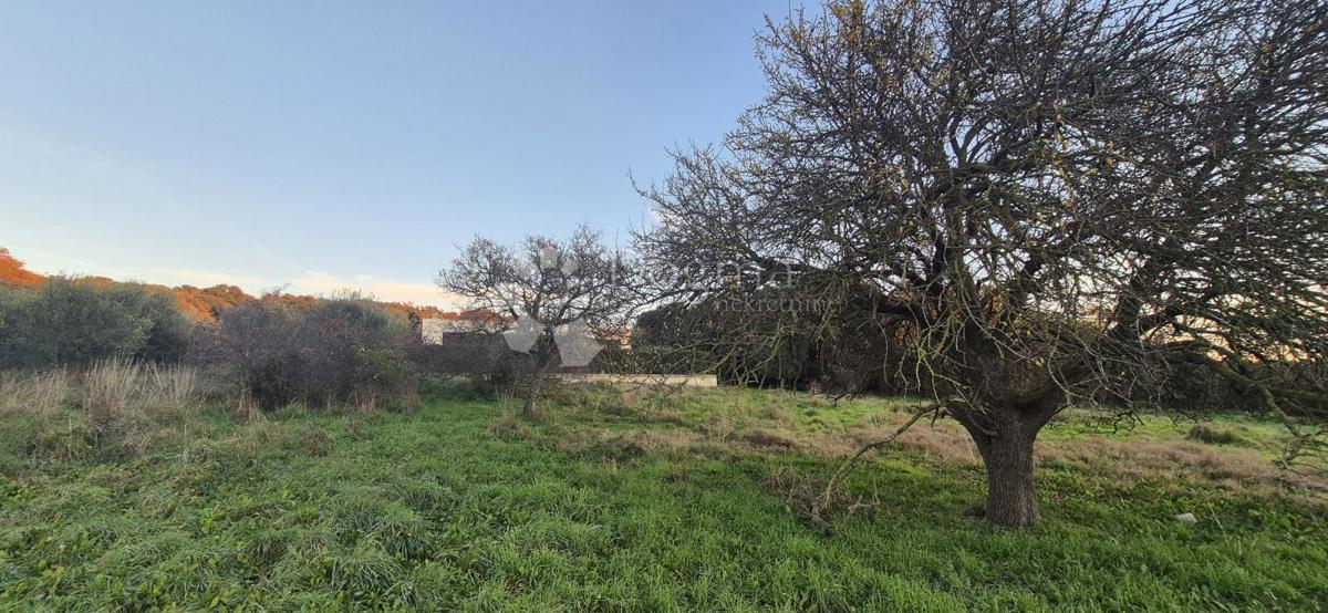 Land For sale - ISTARSKA PULA