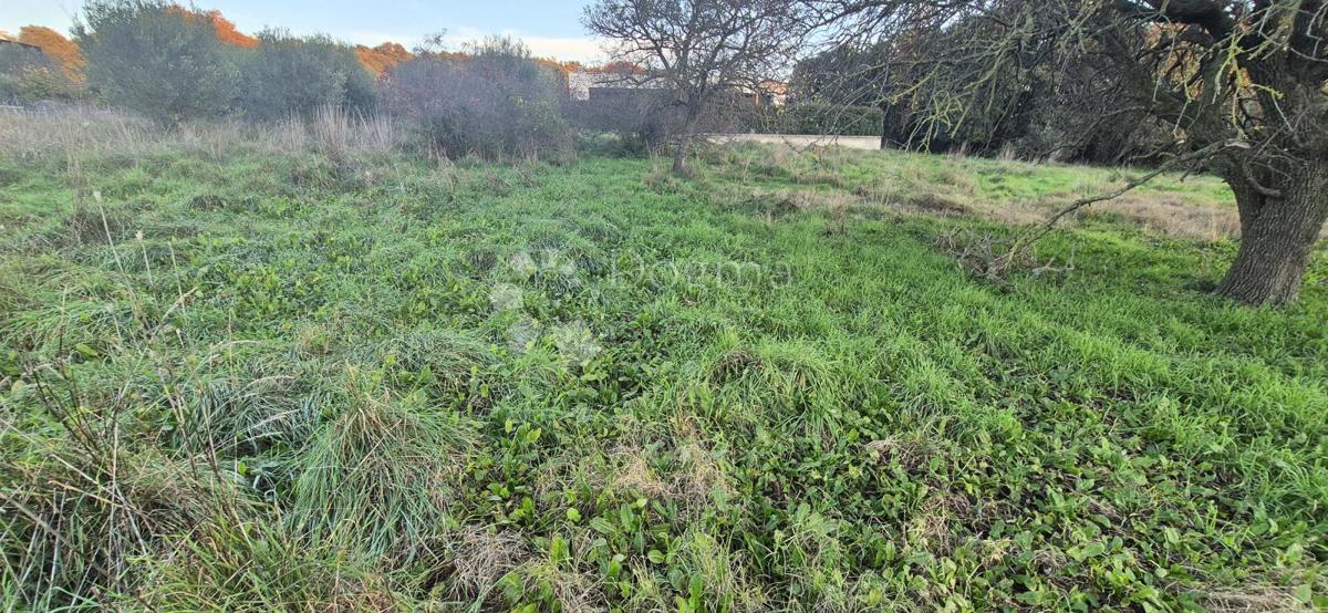 Land For sale - ISTARSKA PULA