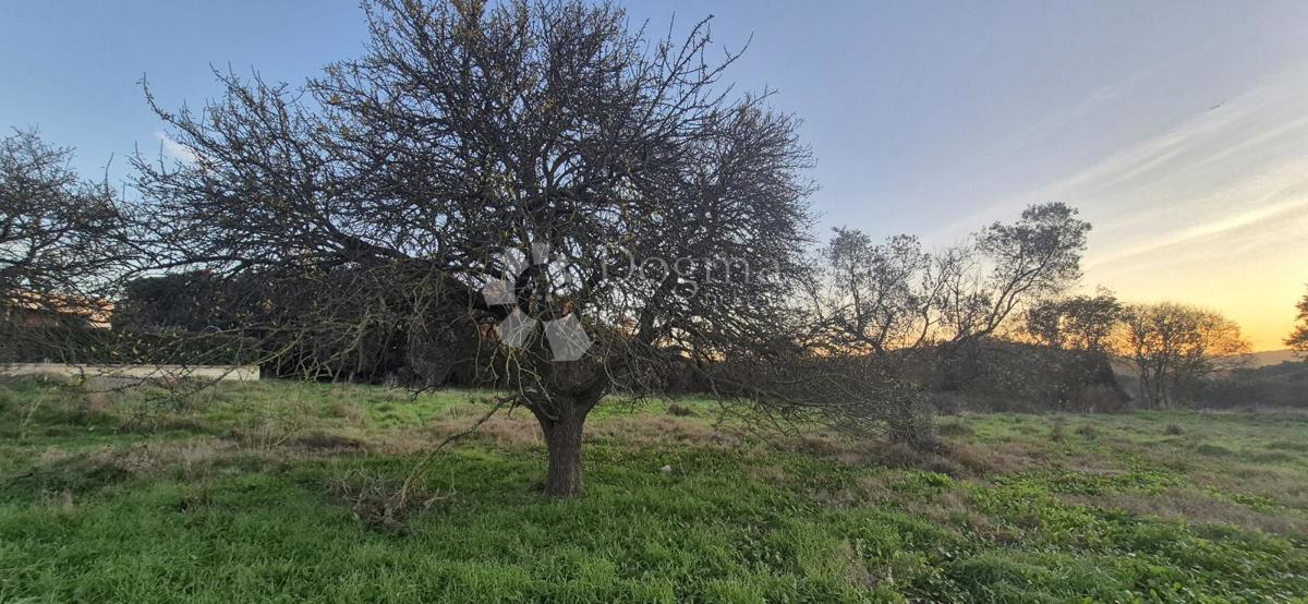 Land For sale - Istarska Pula - foto 2/16