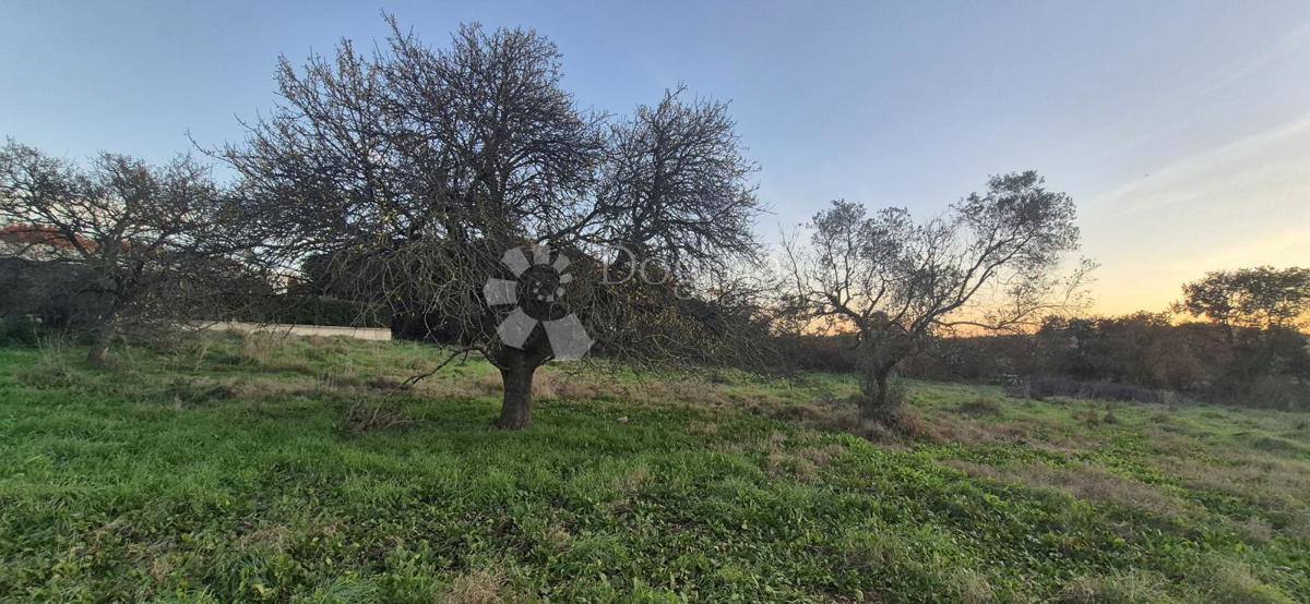 Land For sale - Istarska Pula - foto 3/16