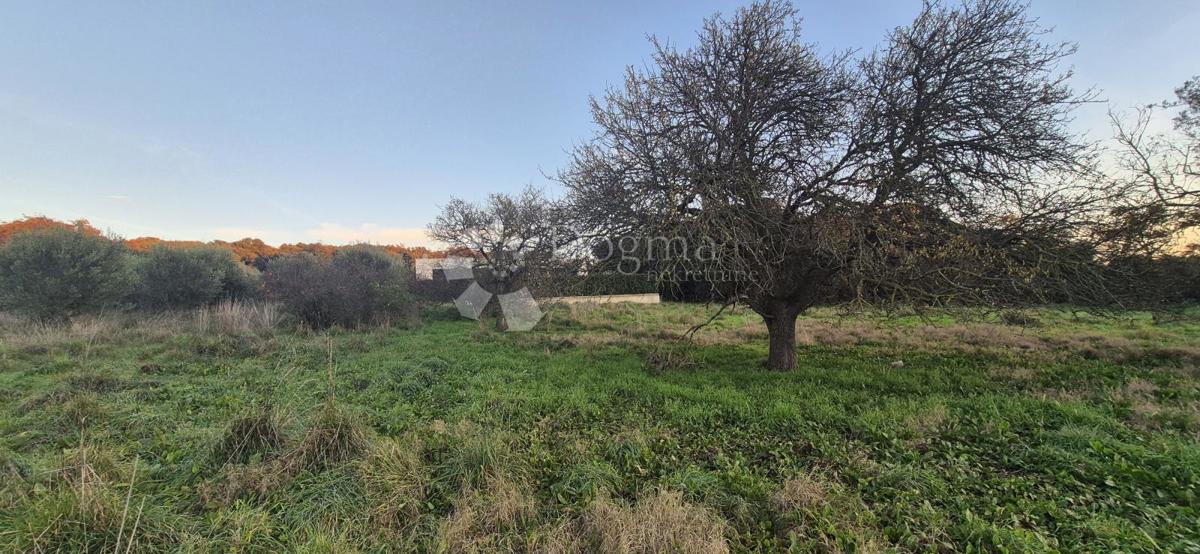 Land For sale - Istarska Pula - foto 4/16
