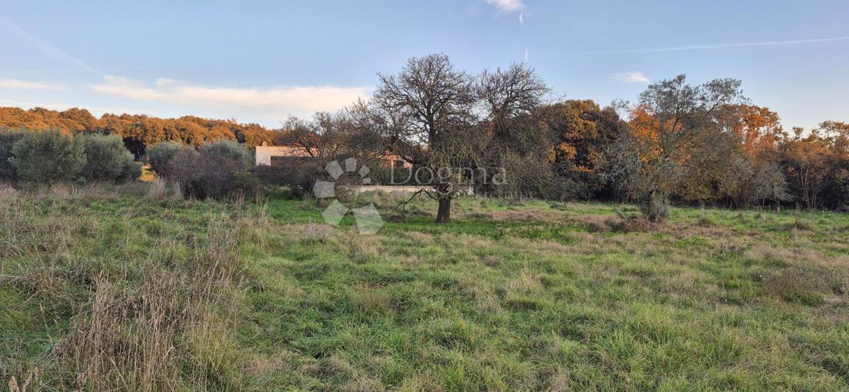 Land For sale - ISTARSKA PULA