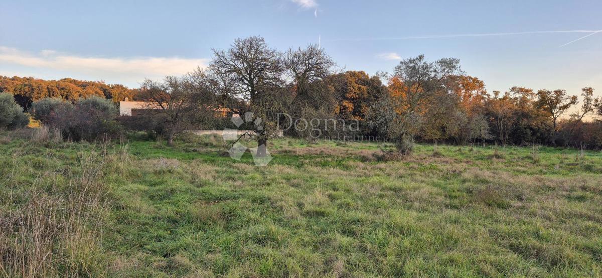Land For sale - ISTARSKA PULA