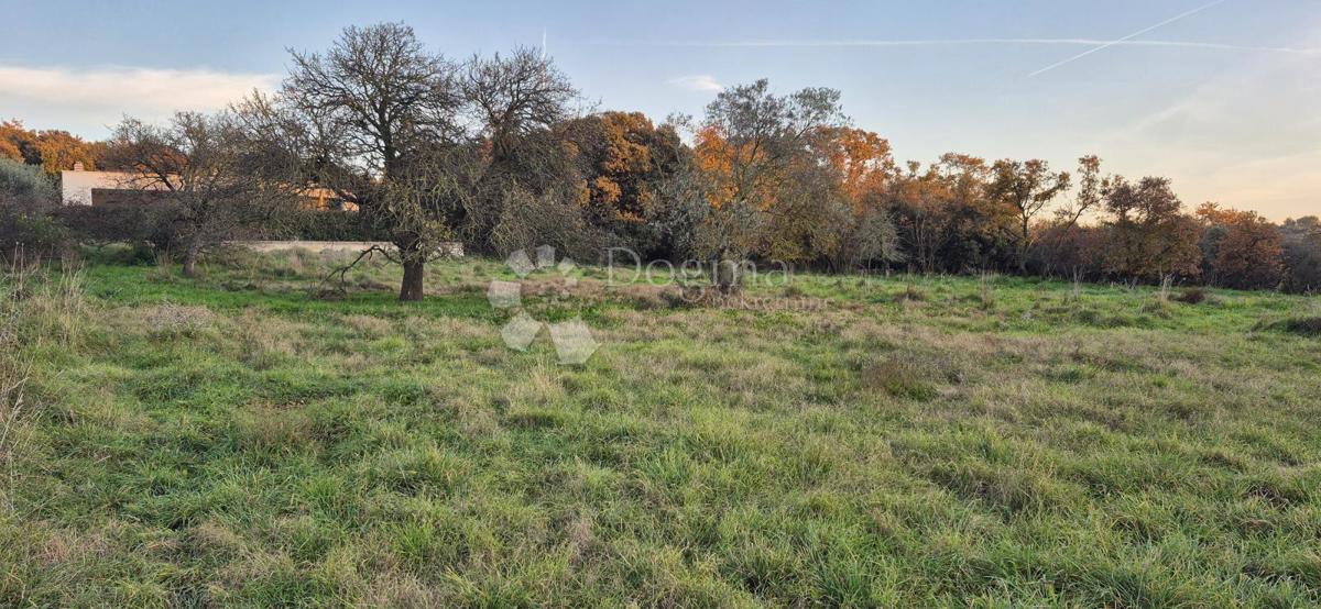 Land For sale - ISTARSKA PULA