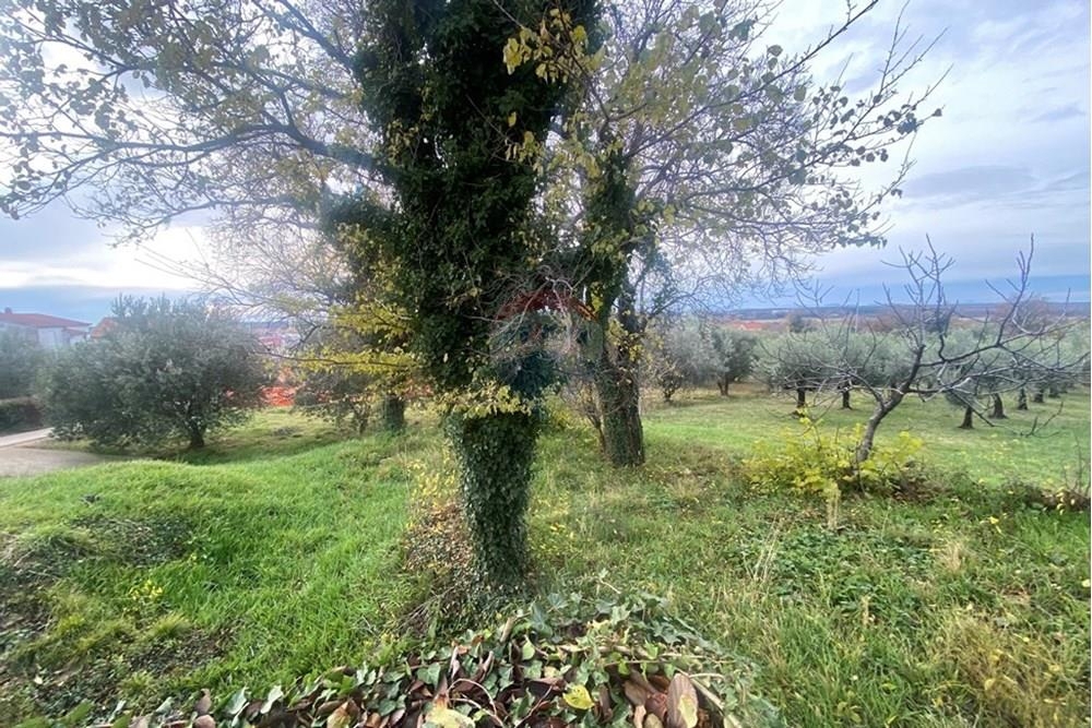 Terreno In vendita - Zadarska Benkovac - foto 2/4