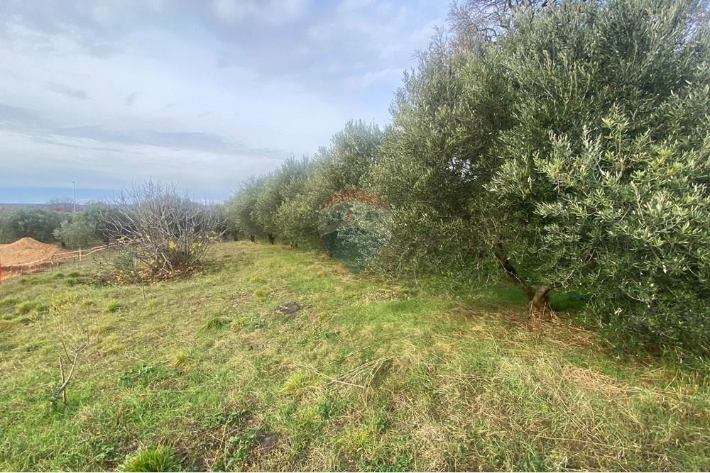 Terreno In vendita - Zadarska Benkovac - foto 3/4