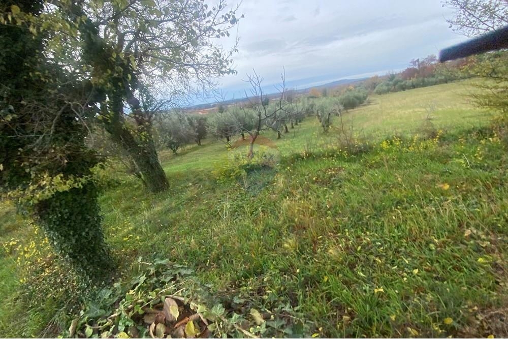 Terreno In vendita - Zadarska Benkovac - foto 4/4
