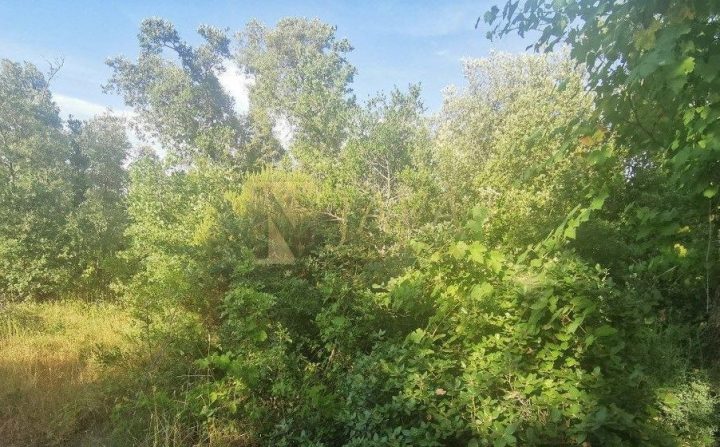 Działka na sprzedaż 7000 m² – Kastav