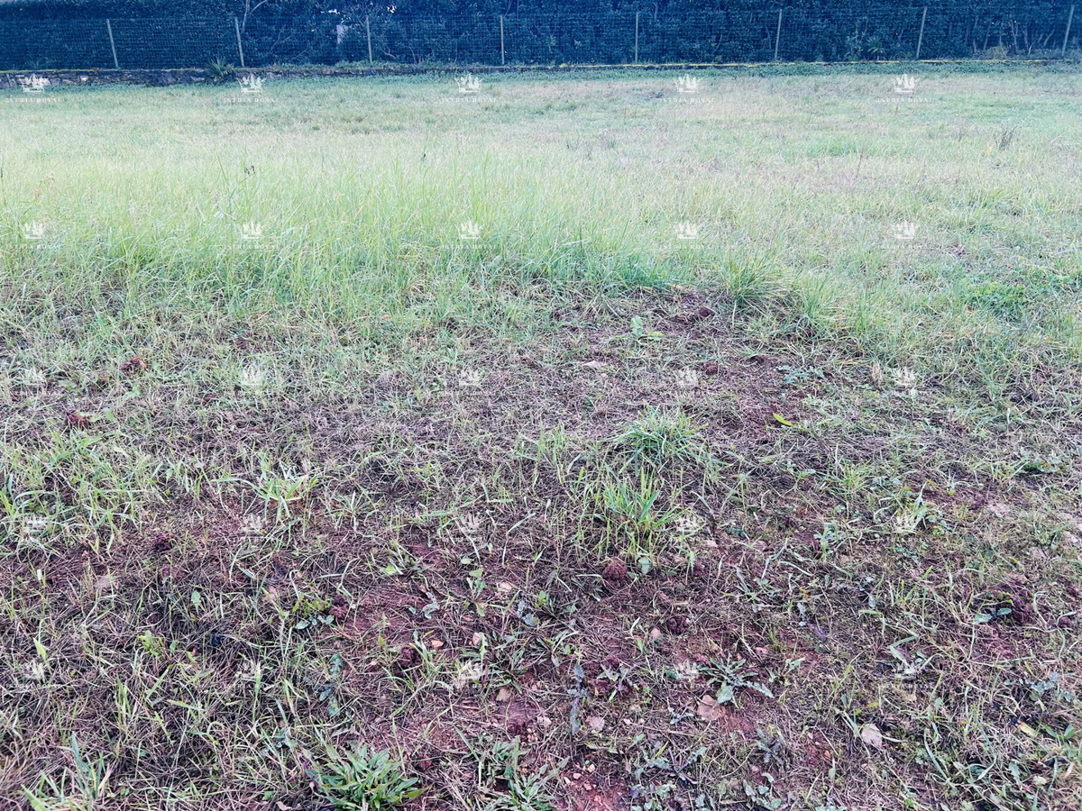 Grundstück Zu verkaufen - Istarska Umag - foto 1/6